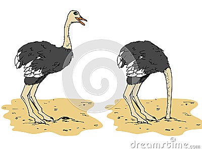 Cartoon ostrich with head below Vector Illustration