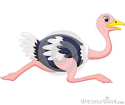 Cartoon ostrich running Vector Illustration