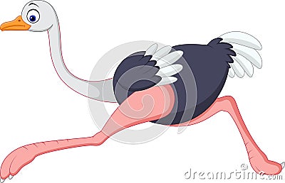 Cartoon ostrich running Vector Illustration