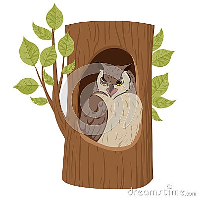 Cartoon owl sitting in oak nest. Tree hollow, forest owl bird sit in woods house, wildlife bird flat vector illustration set on Vector Illustration