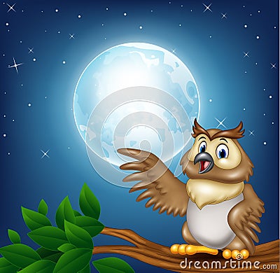 Cartoon owl on a tree branch in the night Vector Illustration