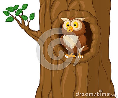 Cartoon Owl In Tree Vector Illustration