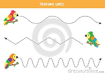 Cartoon parrots tracing. Handwriting practice with birds Vector Illustration