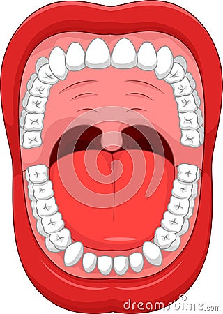 Cartoon Parts of Human mouth. Open mouth and white healthy tooth Vector Illustration