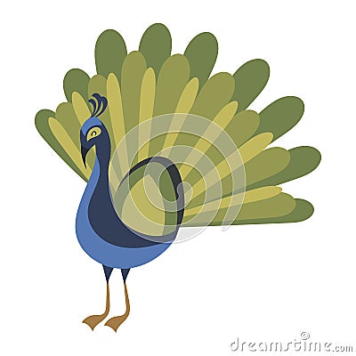 Cartoon peacock. Vector illustration of a cute peacock. Drawing birds for children. Zoo for kids. Vector Illustration