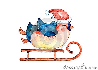 Cartoon penguin in a red, warm hat rides a winter sleigh. White background. Cartoon Illustration