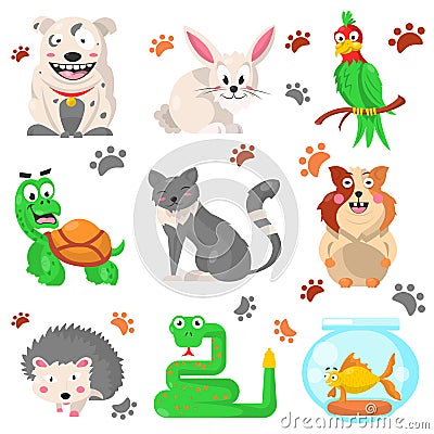 Cartoon pets colorful collection with their footprints on white Vector Illustration