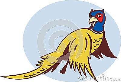 Cartoon Pheasant bird flying Stock Photo