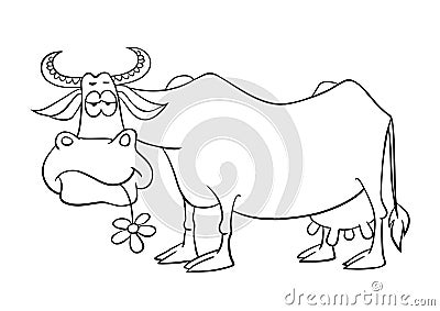 Cartoon phlegmatic cow. Vector illustration isolated on white. Outline drawing of cartoon funny cow Vector Illustration