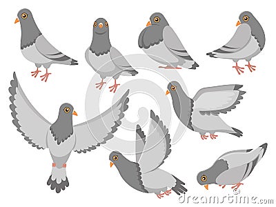 Cartoon pigeon. City dove bird, flying pigeons and town birds doves isolated vector illustration set Vector Illustration