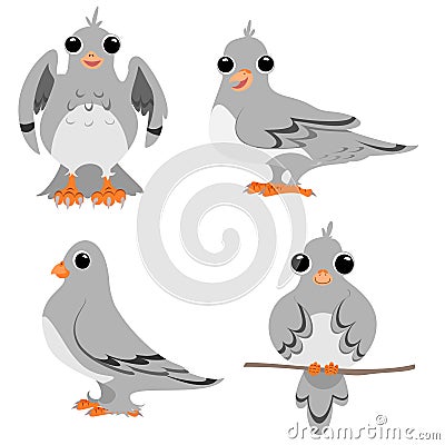 Cartoon pigeons Vector Illustration