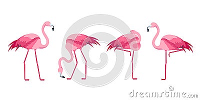 Cartoon Pink Flamingo Bird Set. Vector Vector Illustration
