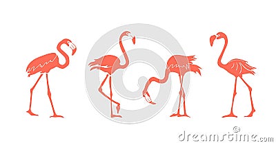 Cartoon pink flamingo silhouette vector set. Cute flamingos collection. Vector Illustration