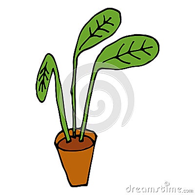 Cartoon plant in pot isolated on white background. Vector Illustration