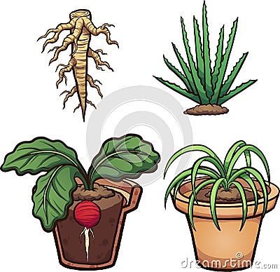 Cartoon plants Vector Illustration