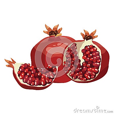 Cartoon pomegranate. Illustration of a pomegranate in a cut. A juicy summer fruit on a white background. Useful vitamin Vector Illustration