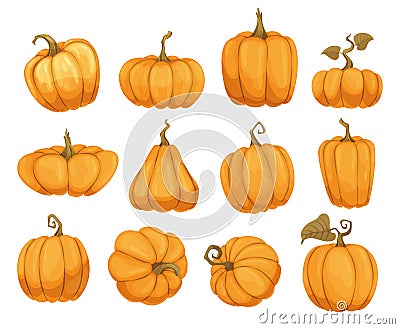 Cartoon pumpkin flat icons set. Orange and yellow autumn pumpkins. Different shapes and sizes of pumpkin or gourd Vector Illustration