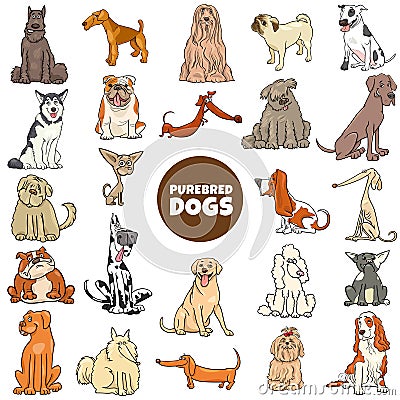 Cartoon purebred dogs characters large set Vector Illustration