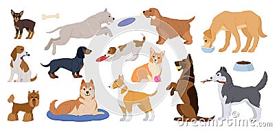 Cartoon purebred dogs. Happy active puppies, sleeping, playing and eating domestic dogs, corgi and husky cute pets flat vector Vector Illustration