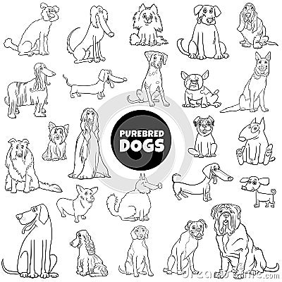 Cartoon purebred dogs large set color book page Vector Illustration