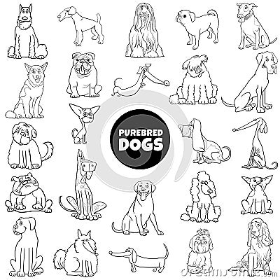 Cartoon purebred dogs set color book page Vector Illustration