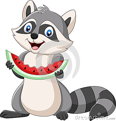 Cartoon raccoon eating watermelon on a white background Vector Illustration