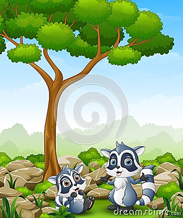 Cartoon raccoon with raccoon cub in the jungle Vector Illustration