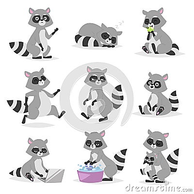 Cartoon raccoon vector illustration. Vector Illustration