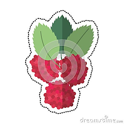 Cartoon raspberry natural diet icon Vector Illustration