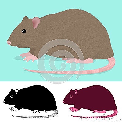 Cartoon Rat Rodent Vector Illustration