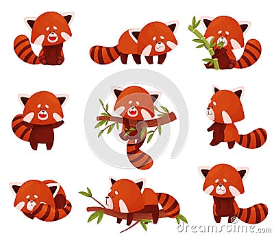 Cartoon Red Panda Character Doing Different Activities Vector Set Vector Illustration