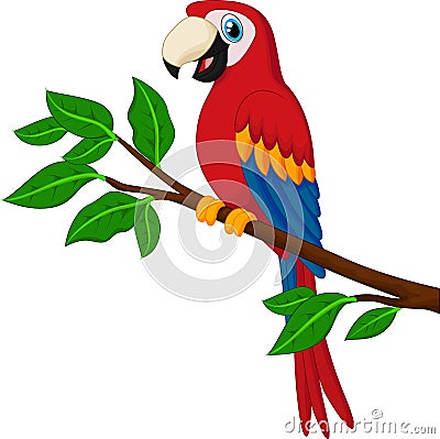 Cartoon red parrot on a branch Vector Illustration