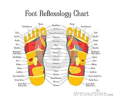 Cartoon Reflexology Feet Alternative Medicine. Vector Vector Illustration