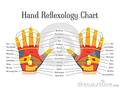 Cartoon Reflexology Hands Alternative Medicine. Vector Vector Illustration