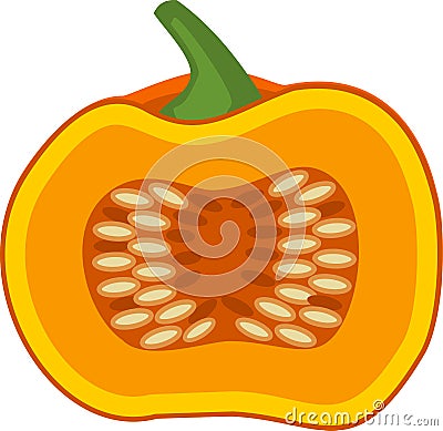 Cartoon ripe orange pumpkin cut in half Stock Photo