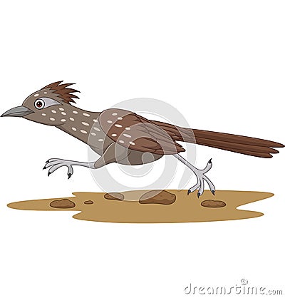 Cartoon Roadrunner bird running on the road Vector Illustration