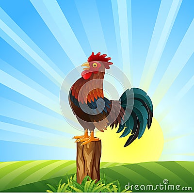 Cartoon Rooster crowing at dawn Vector Illustration