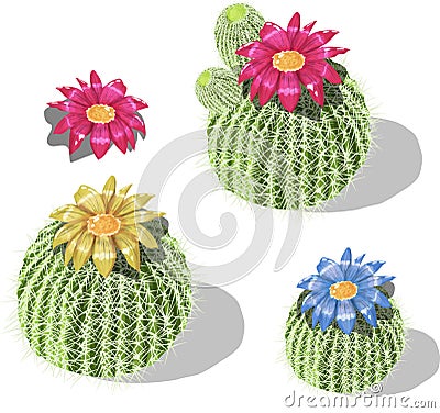 Cartoon round cactus set Stock Photo