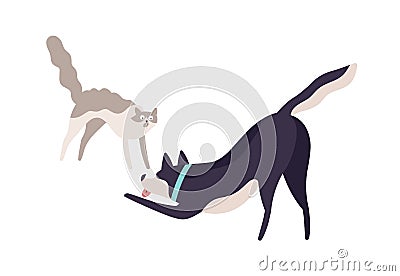 Cartoon scared cat and excited dog fighting vector flat illustration. Cute colorful domestic animal playing together Vector Illustration