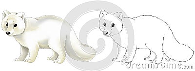 Cartoon scene with arctic polar fox animal with sketch - illustration Cartoon Illustration