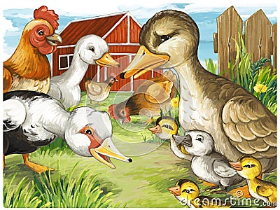 Cartoon scene with ducks on the farm and rooster illustration for children Cartoon Illustration