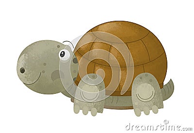 Cartoon scene with happy turtle on white background Cartoon Illustration