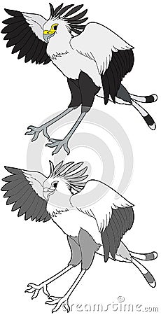 Cartoon scene with sketch with happy snake eater bird illustration Cartoon Illustration