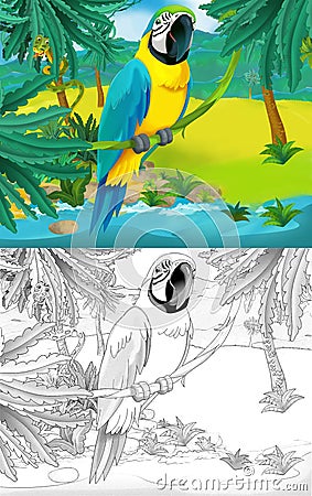 Cartoon scene with wild animal bird parrot in nature - illustration Cartoon Illustration