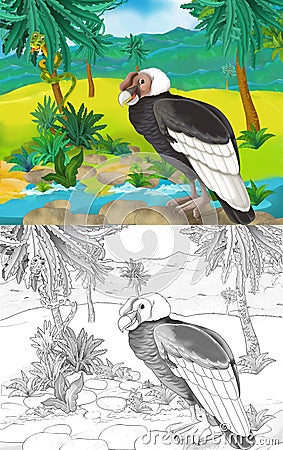 Cartoon scene with wild animal bird vulture in nature - illustration Cartoon Illustration