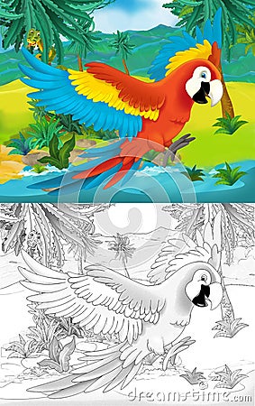 Cartoon scene with wild animal parrot bird in nature - illustration Cartoon Illustration