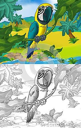 Cartoon scene with wild animal parrot bird in nature - illustration Cartoon Illustration