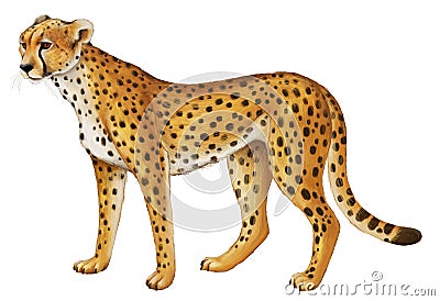 Cartoon scene with young cheetah resting on white background Cartoon Illustration