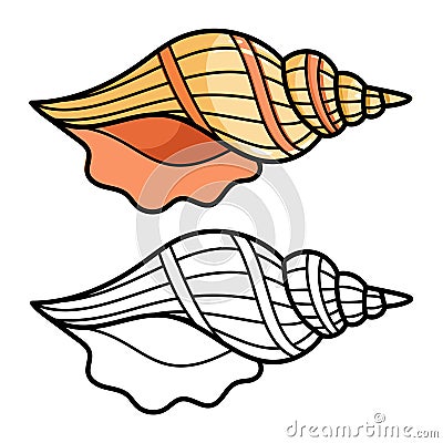 Cartoon sea shell isolated on white Vector Illustration