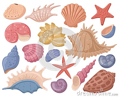 Cartoon sea shell, starfish, marine mollusks shells, underwater clams Vector Illustration